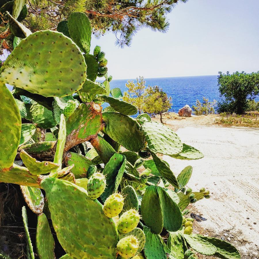 Euphoria - South Crete Villas Achlia Eksteriør billede