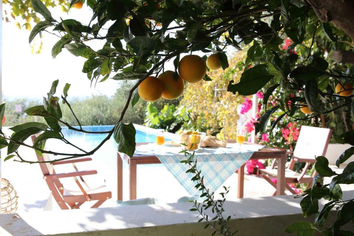 Euphoria - South Crete Villas Achlia Eksteriør billede